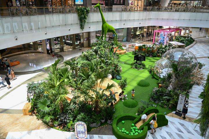 江阴绿植回收,江阴盆景租摆