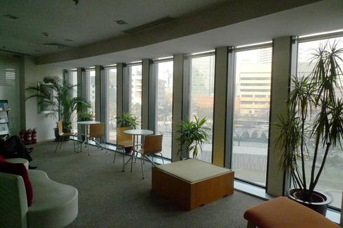 图书馆盆景租摆