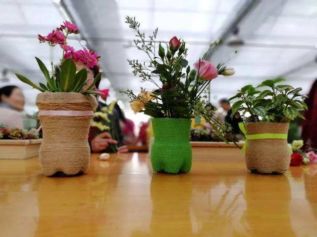 学校植物租赁